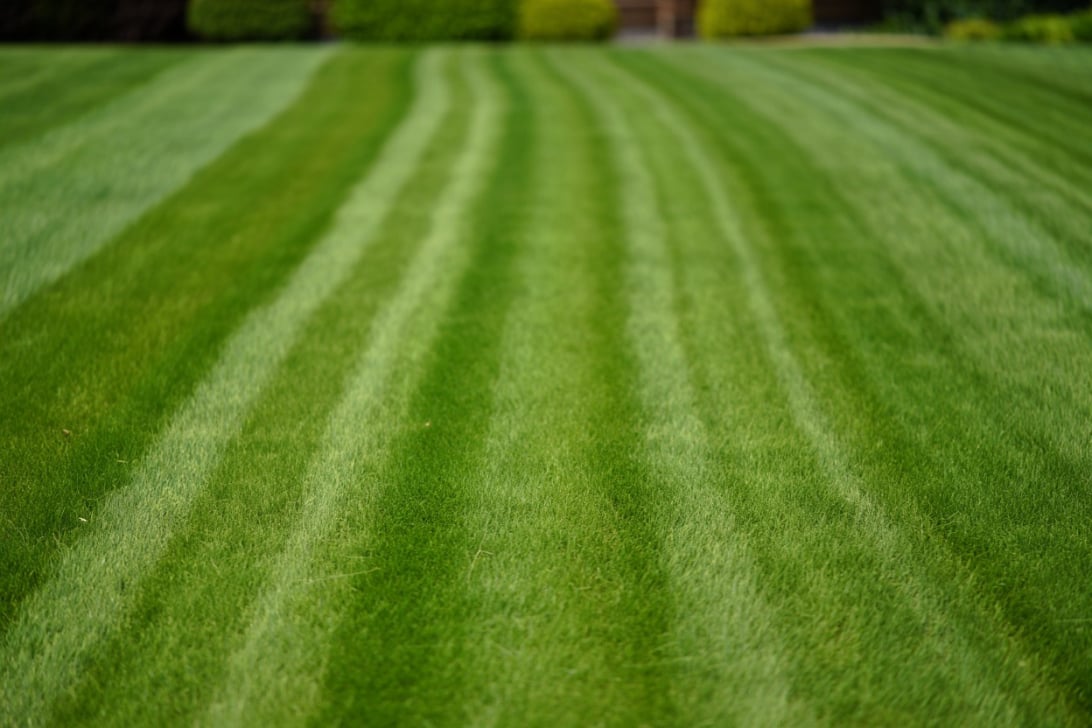 GreenWorks